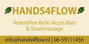 Hands4Flow_Banner