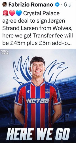 Screenshot_20260129_193039_X