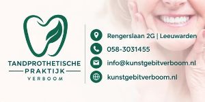 Logo-banner TTP Verboom